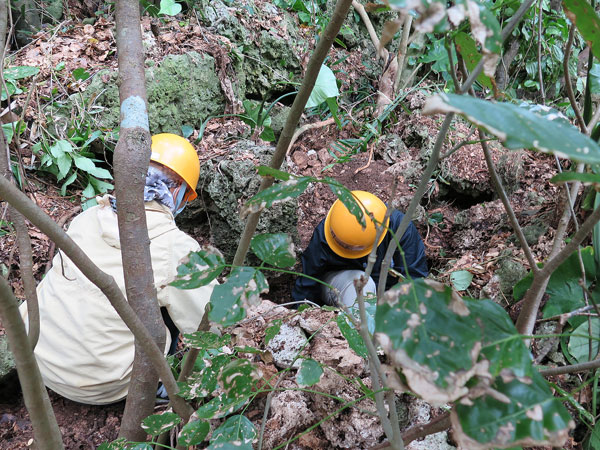 2016年2月20日/遺骨収集の様子 NO.92