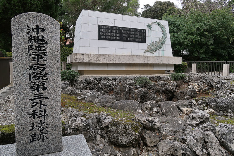 2017年1月14日/遺骨収集の様子no.3