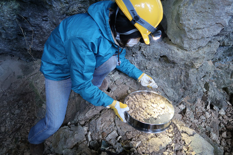 2017年1月17日/遺骨収集の様子no.57