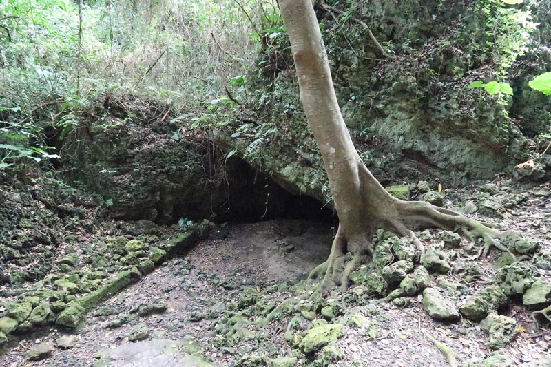 2018年1月18日/遺骨収集の様子no.55