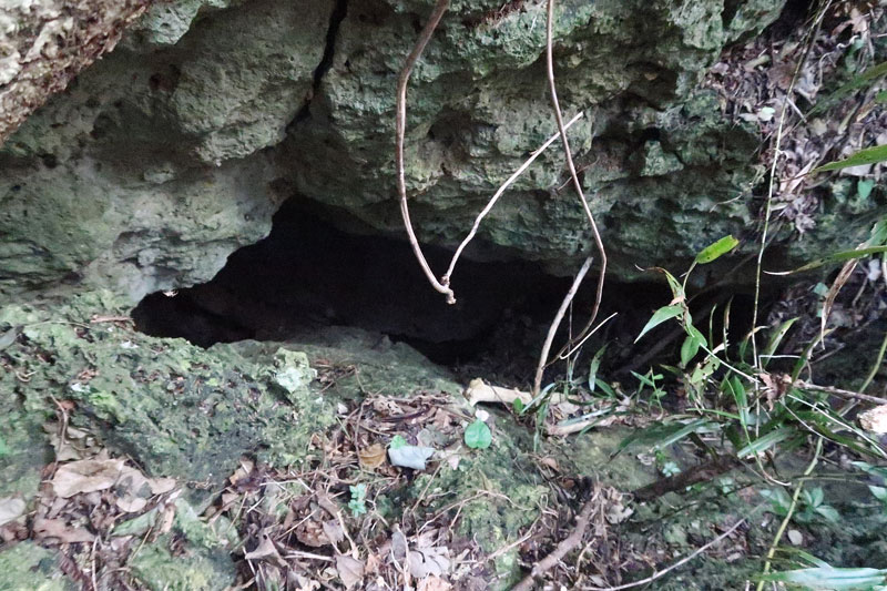 2018年1月18日/遺骨収集の様子no.88