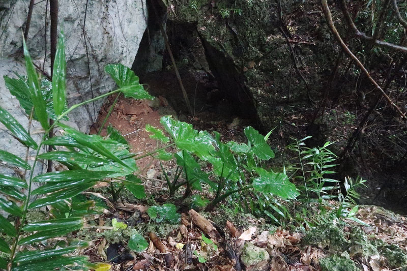 2018年1月19日/遺骨収集の様子no.27