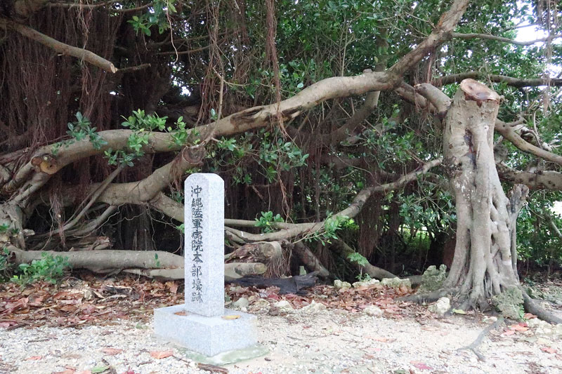 2018年1月20日/遺骨収集の様子no.16