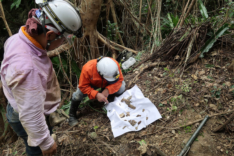 2018年1月23日/遺骨収集の様子no.60