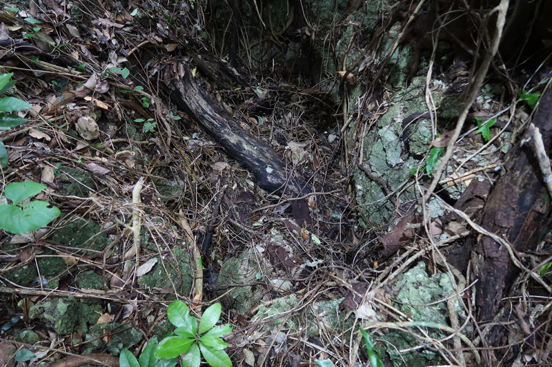 2018年1月23日/遺骨収集の様子no.80