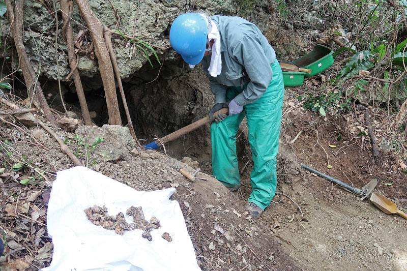 2018年1月24日/遺骨収集の様子no.59