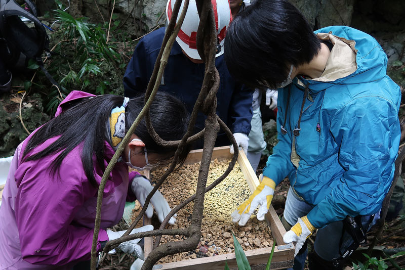 2018年1月26日/遺骨収集の様子no.80