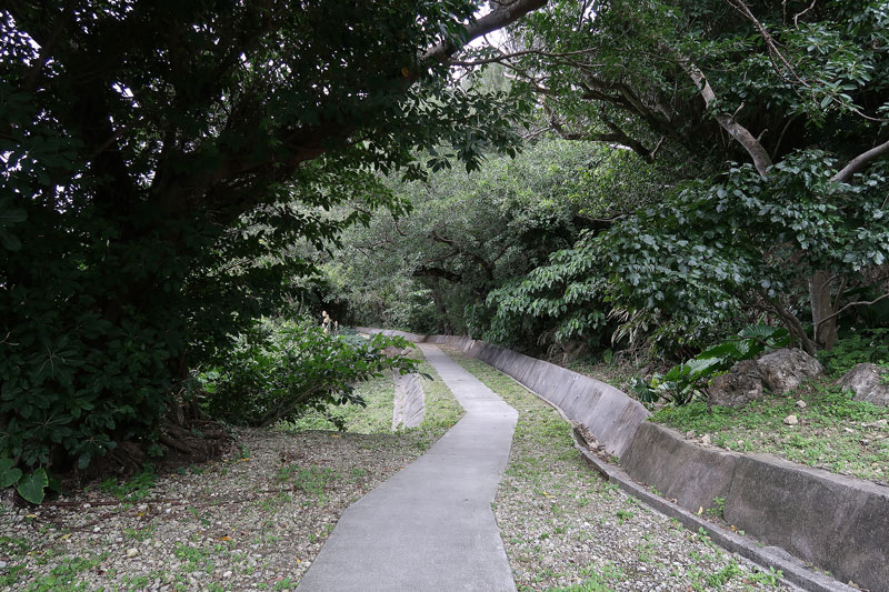 2018年1月27日/遺骨収集の様子no.17