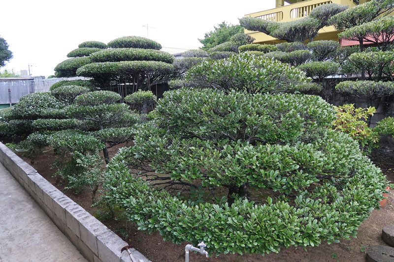 2018年1月27日/遺骨収集の様子no.40