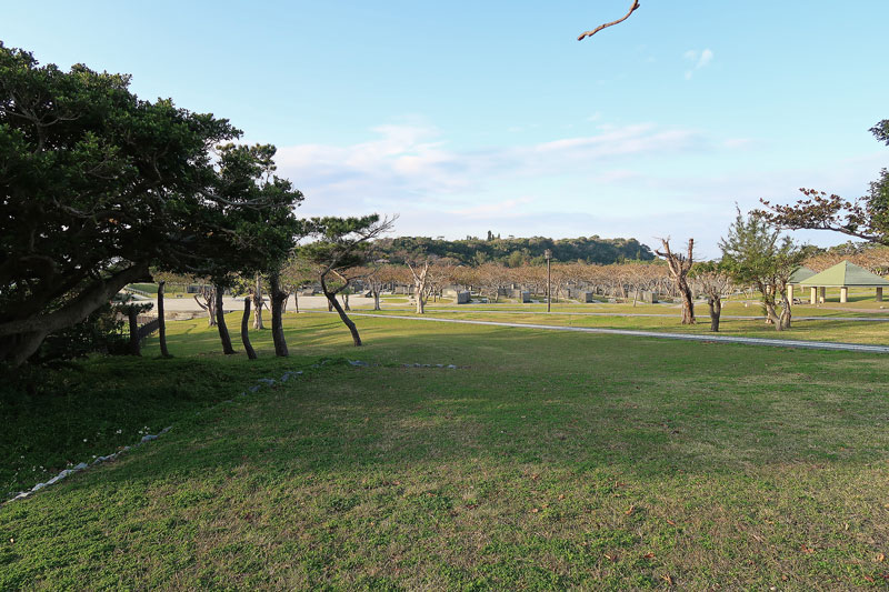 2018年1月28日/遺骨収集の様子no.9