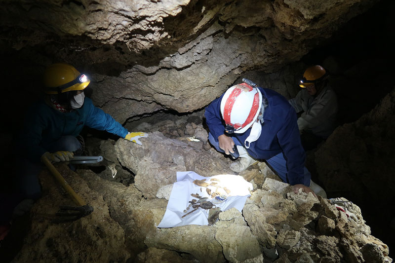 2018年1月28日/遺骨収集の様子no.79