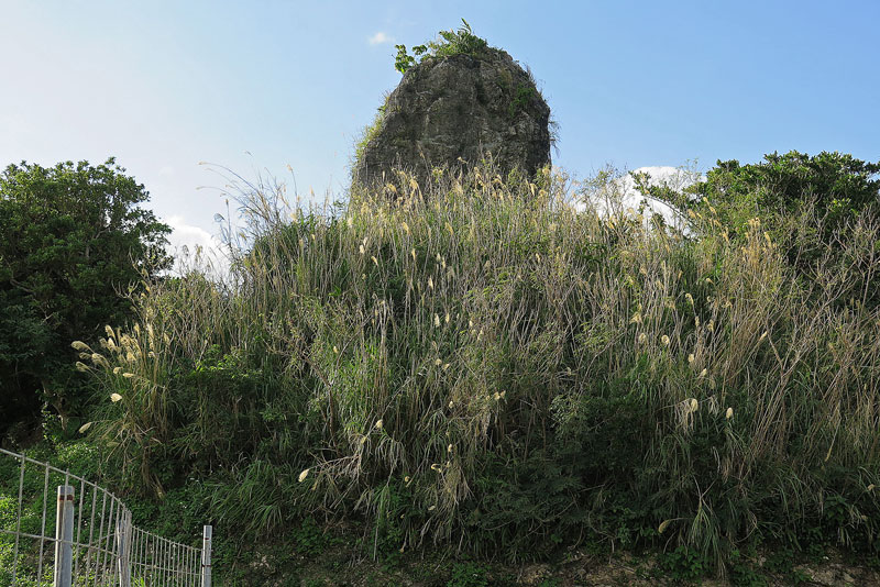 平成31年(2019年)1月18日/沖縄遺骨収集の様子no.59