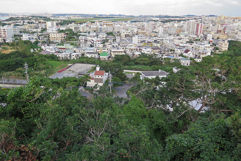 平成31年(2019年)1月19日/沖縄遺骨収集の様子no.11