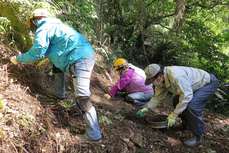 平成31年(2019年)1月24日/沖縄遺骨収集の様子no.96