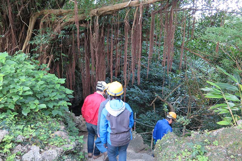 平成31年(2019年)1月24日/沖縄遺骨収集の様子no.135