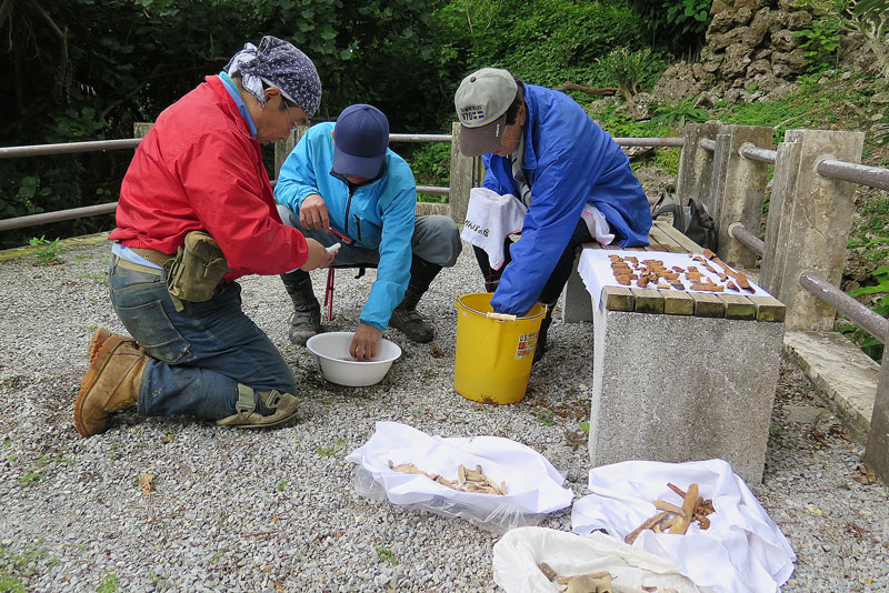 平成31年(2019年)1月26日/沖縄遺骨収集の様子no.73