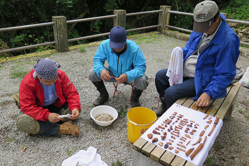 平成31年(2019年)1月26日/沖縄遺骨収集の様子no.74