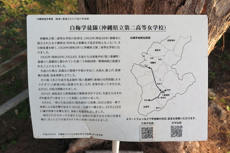 令和年(2020年)1月11日/沖縄遺骨収集の様子no.27