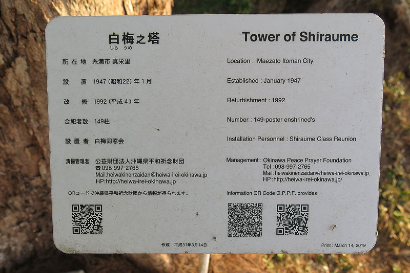 令和年(2020年)1月11日/沖縄遺骨収集の様子no.28