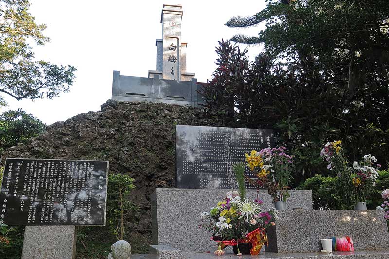 令和年(2020年)1月11日/沖縄遺骨収集の様子no.30