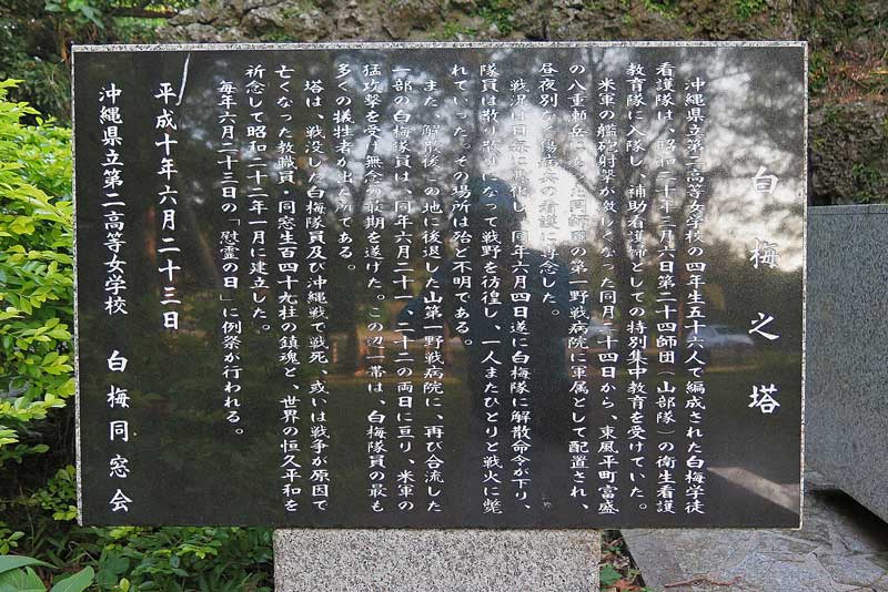 令和年(2020年)1月11日/沖縄遺骨収集の様子no.33
