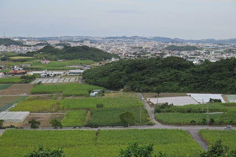 令和年(2020年)1月13日/沖縄遺骨収集の様子no.30