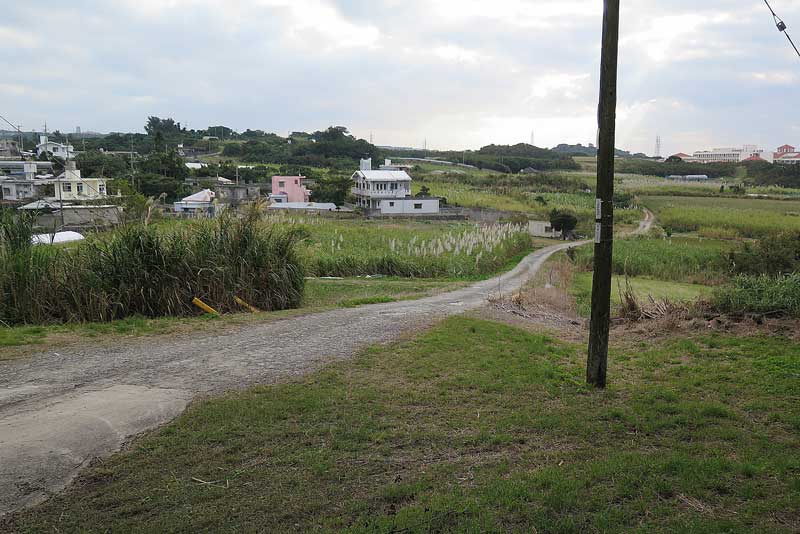 令和3年(2021年)1月14日/沖縄遺骨収集の様子no.56