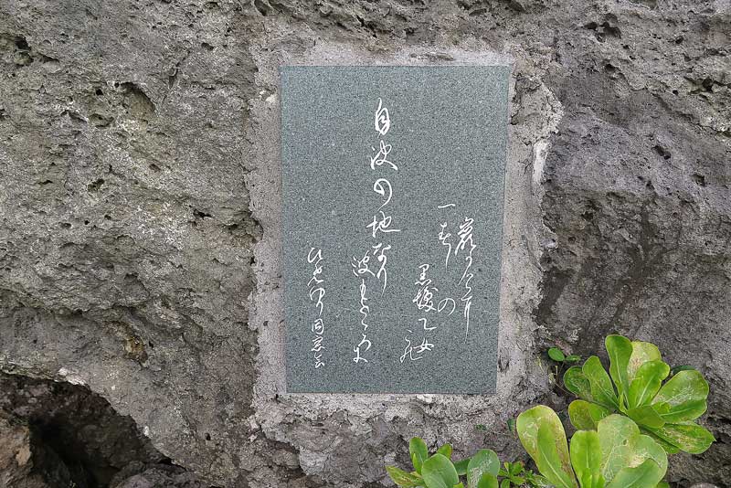 令和3年(2021年)1月15日/沖縄遺骨収集の様子no.88