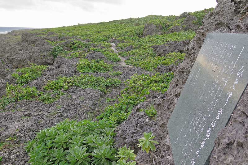 令和3年(2021年)1月15日/沖縄遺骨収集の様子no.90