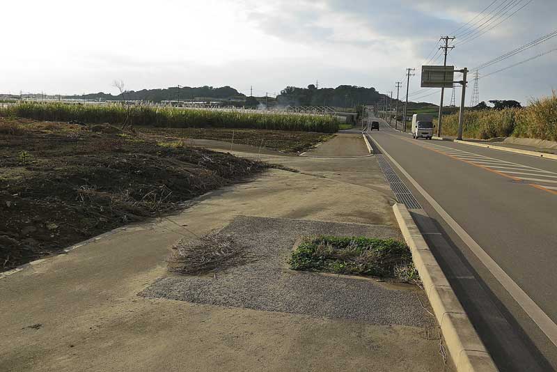 令和3年(2021年)1月18日/沖縄遺骨収集の様子no.66