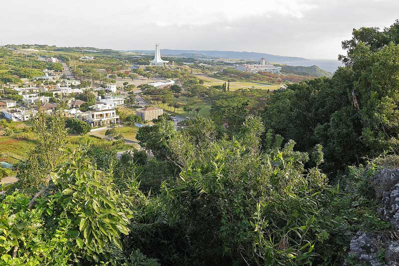 令和3年(2021年)1月19日/沖縄遺骨収集の様子no.104