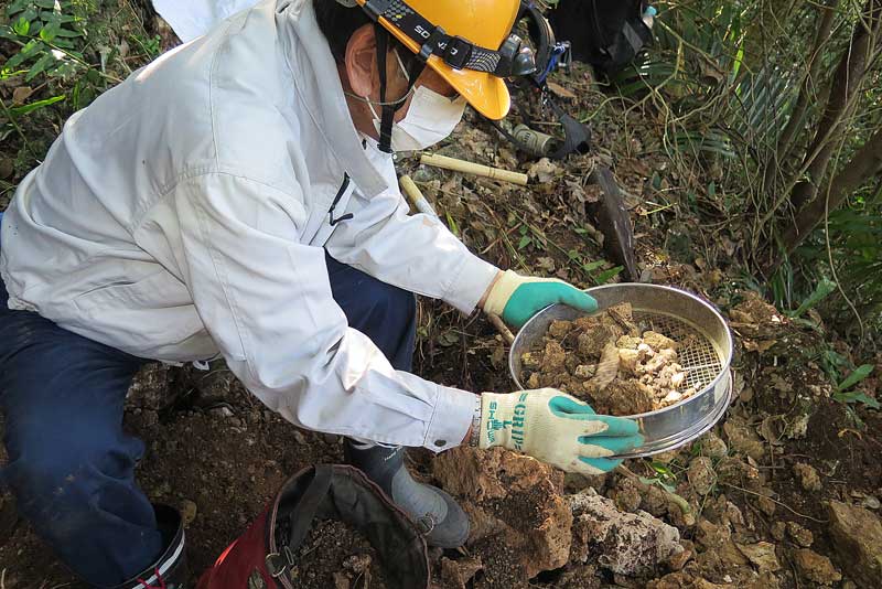 令和3年(2021年)1月20日/沖縄遺骨収集の様子no.135