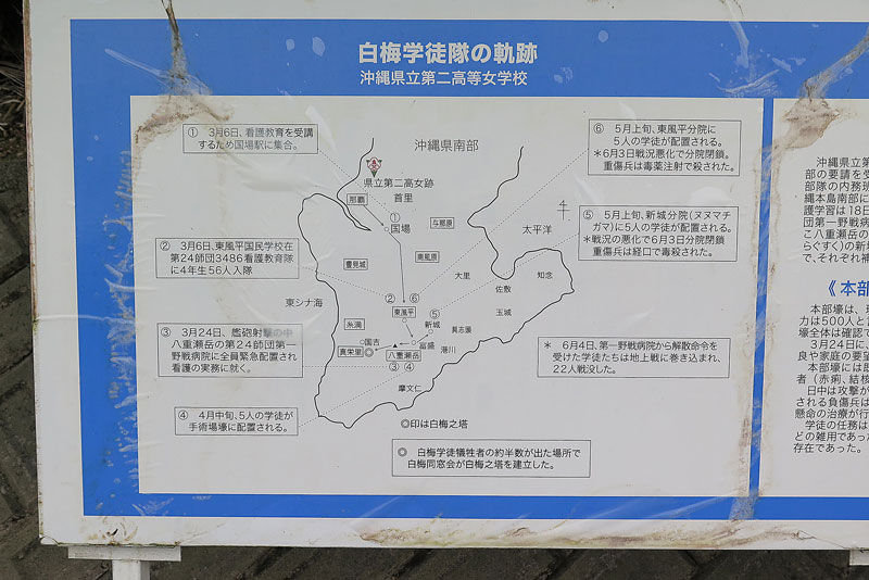 令和4年(2022年)1月17日/沖縄遺骨収集の様子no.17