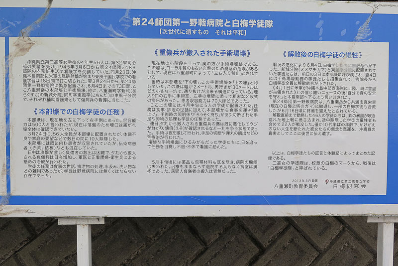 令和4年(2022年)1月17日/沖縄遺骨収集の様子no.18