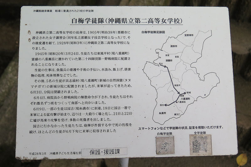 令和4年(2022年)1月17日/沖縄遺骨収集の様子no.16