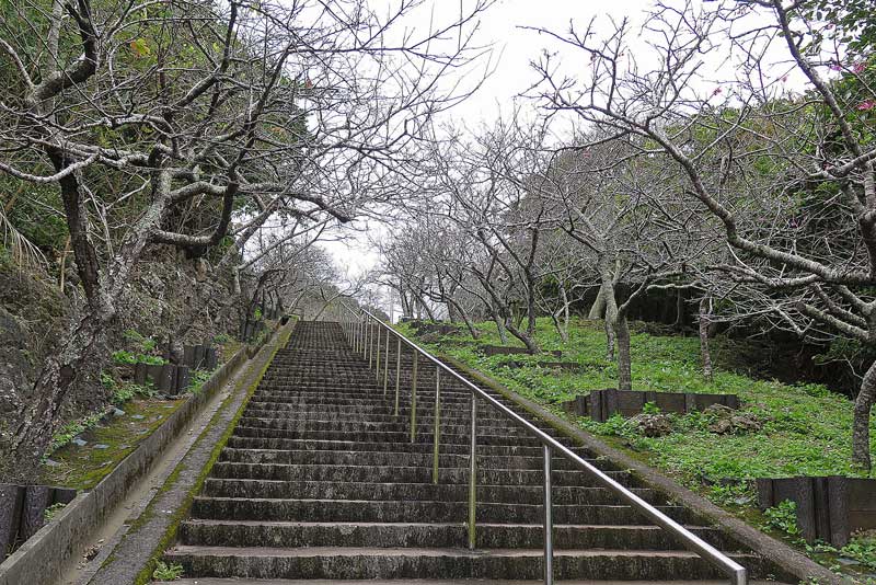 令和4年(2022年)1月17日/沖縄遺骨収集の様子no.36