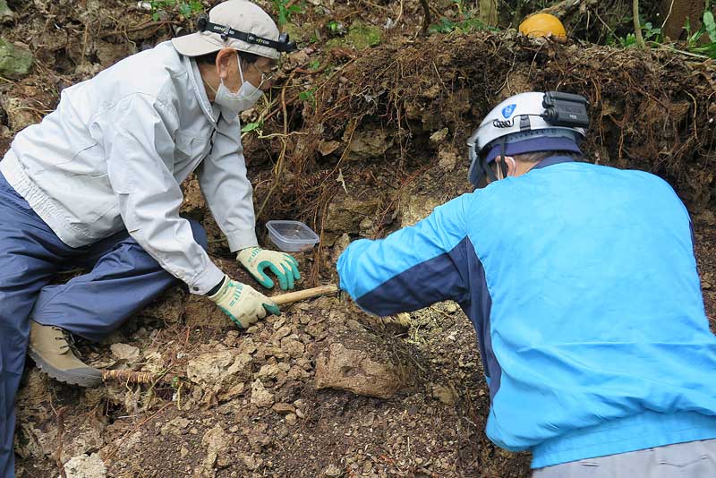 令和4年(2022年)1月22日/沖縄遺骨収集の様子no.134