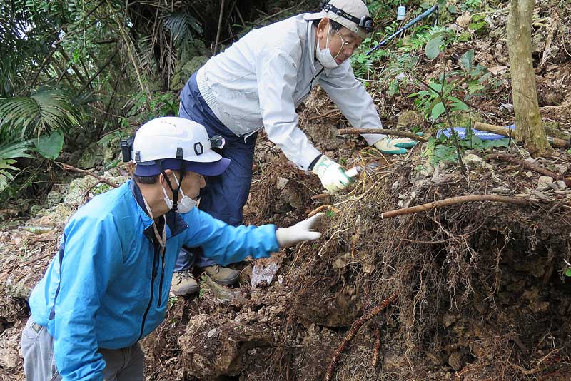 令和4年(2022年)1月22日/沖縄遺骨収集の様子no.140