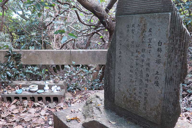 令和5年(2023年)2月10日/沖縄遺骨収集の様子no.