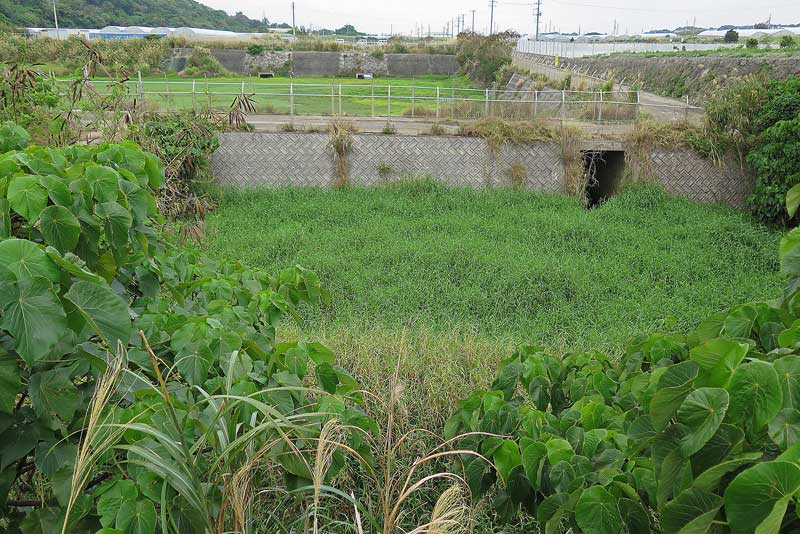 令和5年(2023年)2月10日/沖縄遺骨収集の様子no.