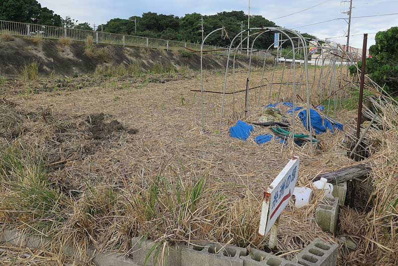 令和5年(2023年)2月11日/沖縄遺骨収集の様子no.