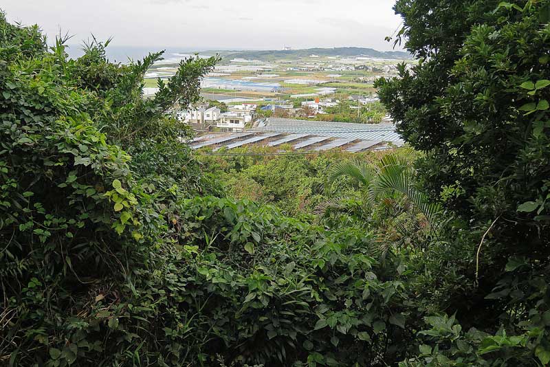 令和5年(2023年)2月11日/沖縄遺骨収集の様子no.