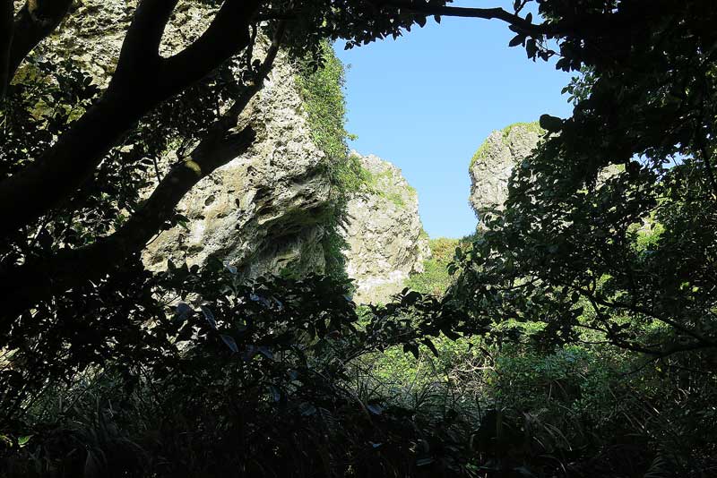 令和5年(2023年)2月12日/沖縄遺骨収集の様子no.