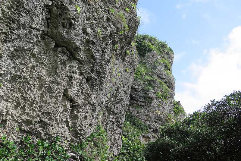令和5年(2023年)2月12日/沖縄遺骨収集の様子no.