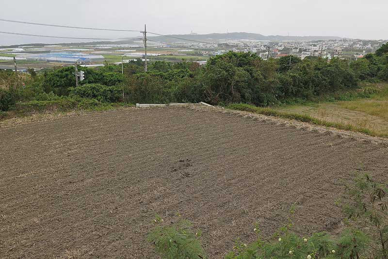 令和5年(2023年)2月14日/沖縄遺骨収集の様子no.