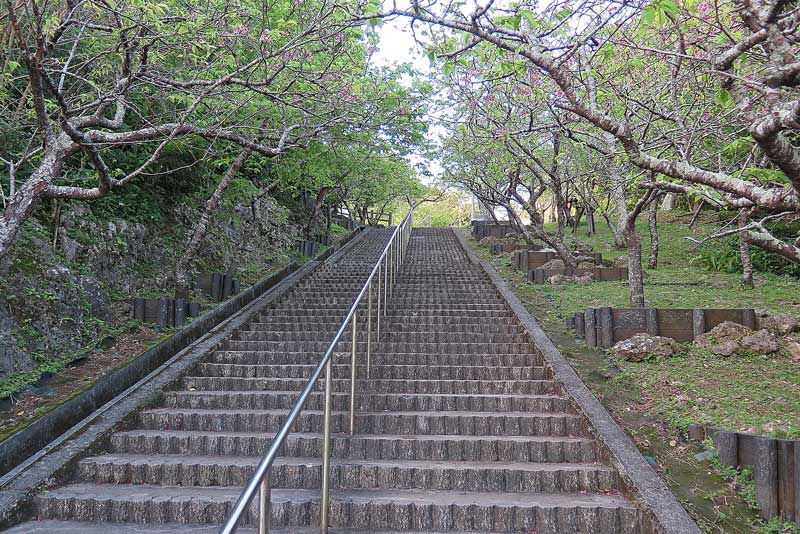 令和5年(2023年)2月16日/沖縄遺骨収集の様子no.