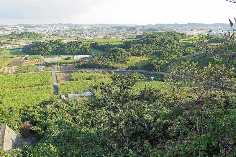 令和5年(2023年)2月16日/沖縄遺骨収集の様子no.