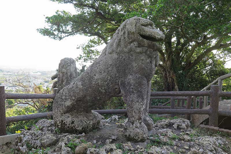 令和5年(2023年)2月16日/沖縄遺骨収集の様子no.