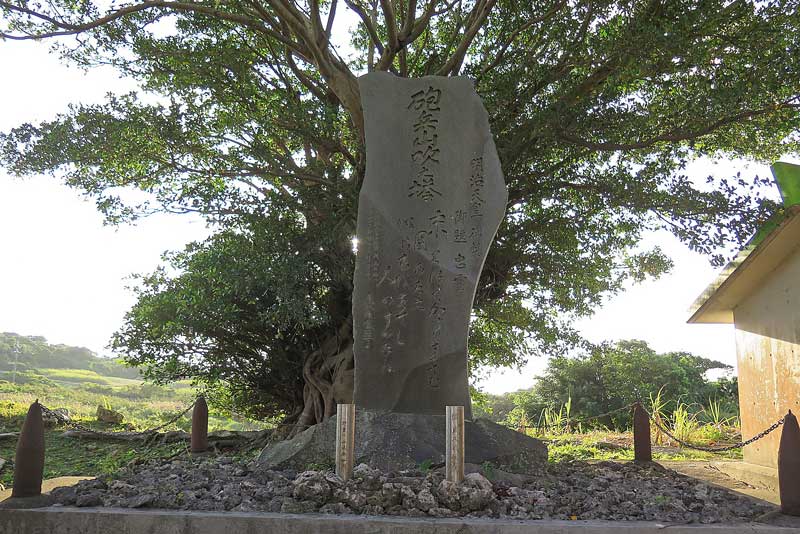 令和5年(2023年)2月18日/沖縄遺骨収集の様子no.