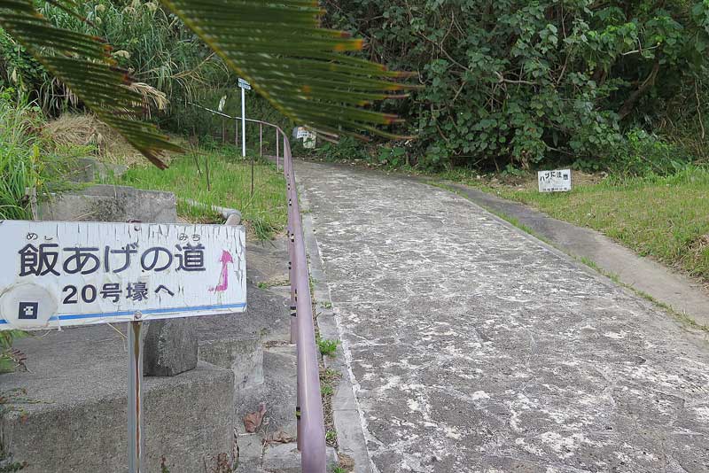 令和5年(2023年)2月19日/沖縄遺骨収集の様子no.